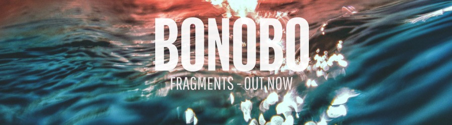Bonobo Fragments